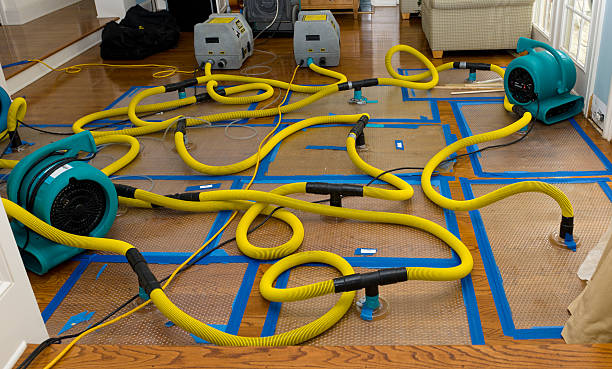 Professional Structural Drying And Dehumidification technician working in Rock Island, WA